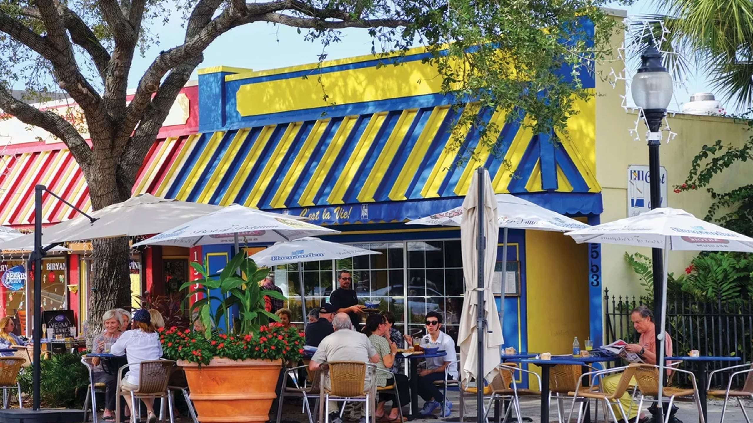 Things to Do in Sarasota Area | Adult-Friendly Southwest Florida ...