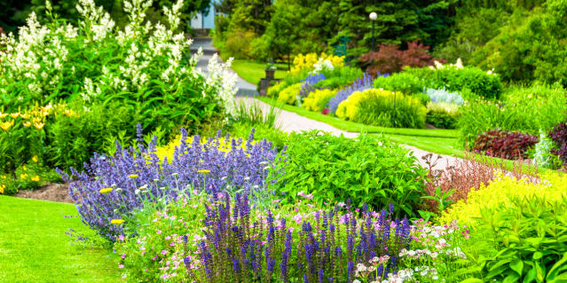 Botanical Gardens