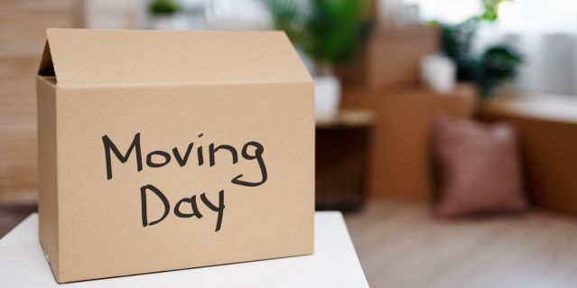 Moving Day