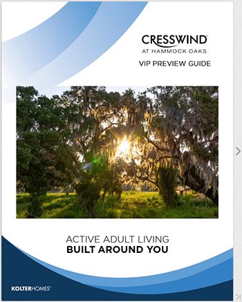VIP Preview Guide