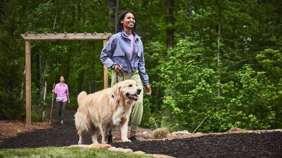 Enjoy a Peaceful Stroll with your Loyal Companion
