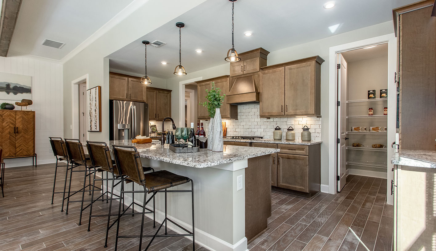 Kitchen Features