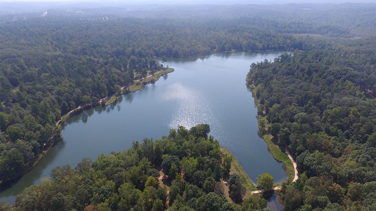 Cresswind Georgia Twin Lakes Lake Aerial Image