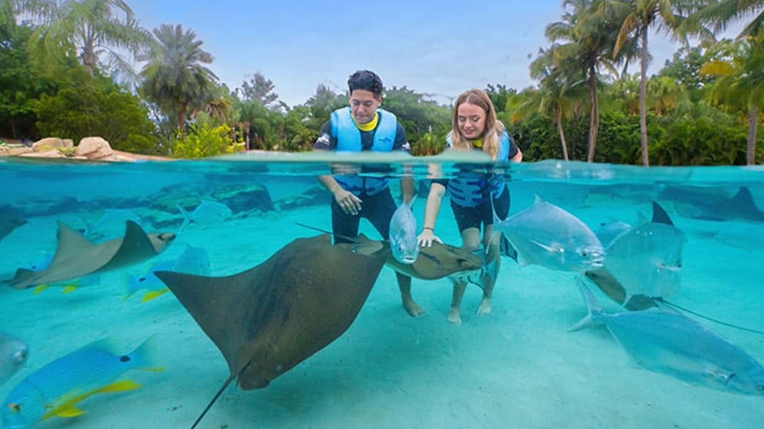 Relaxing lagoon at Discovery Cove in Orlando