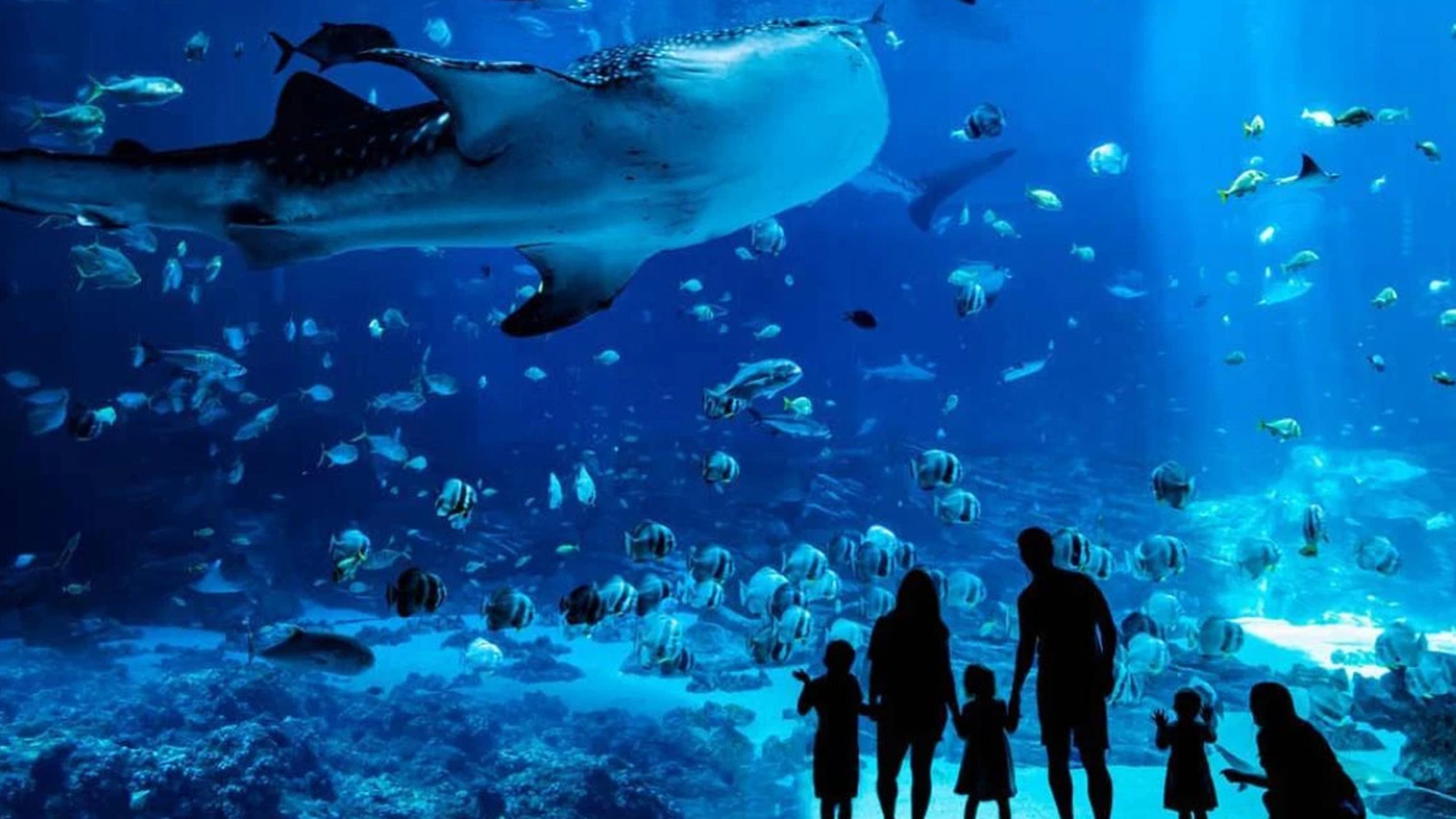 Family-friendly attractions in Atlanta, GA