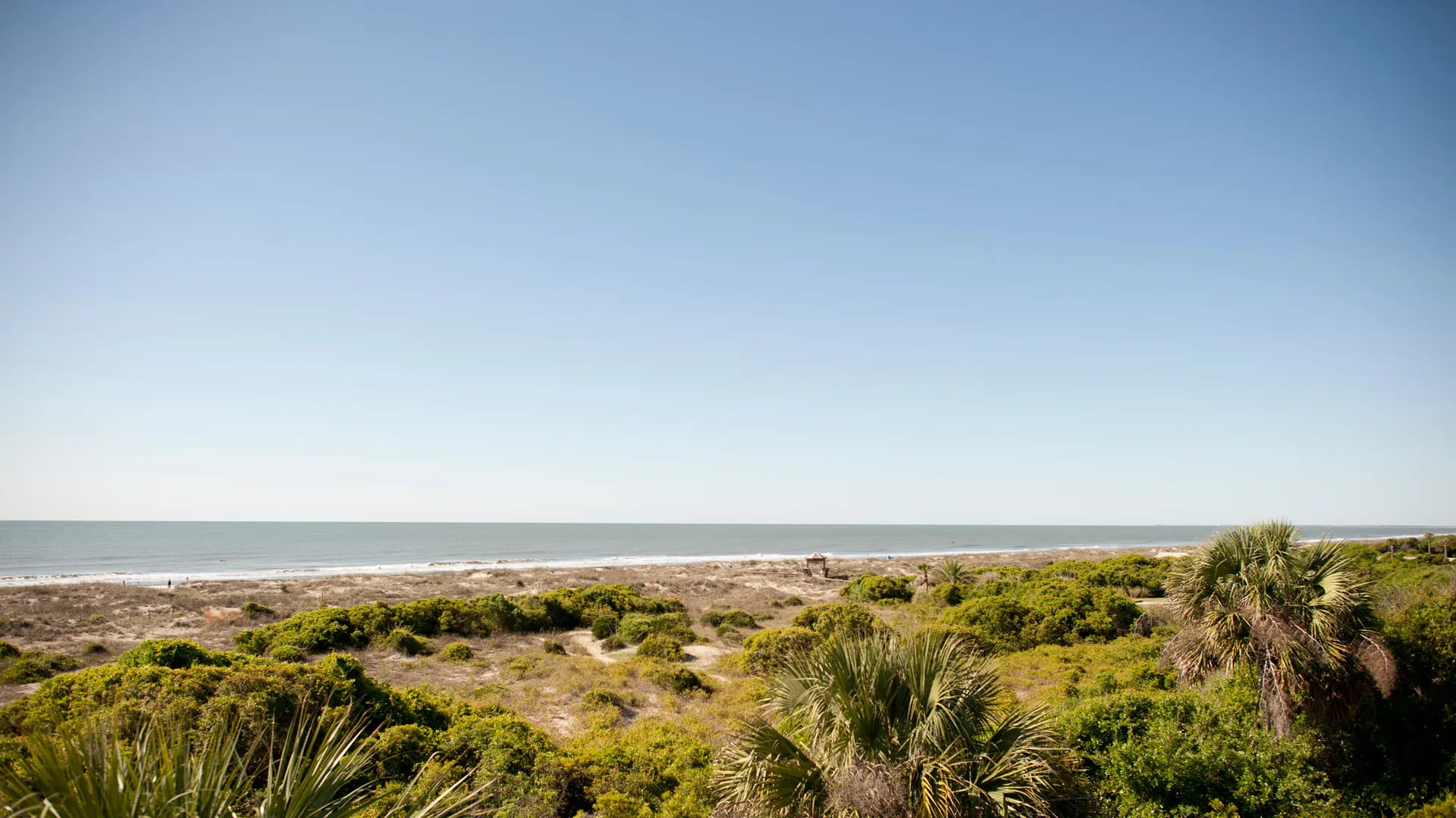 Sandy beach near Charleston, SC