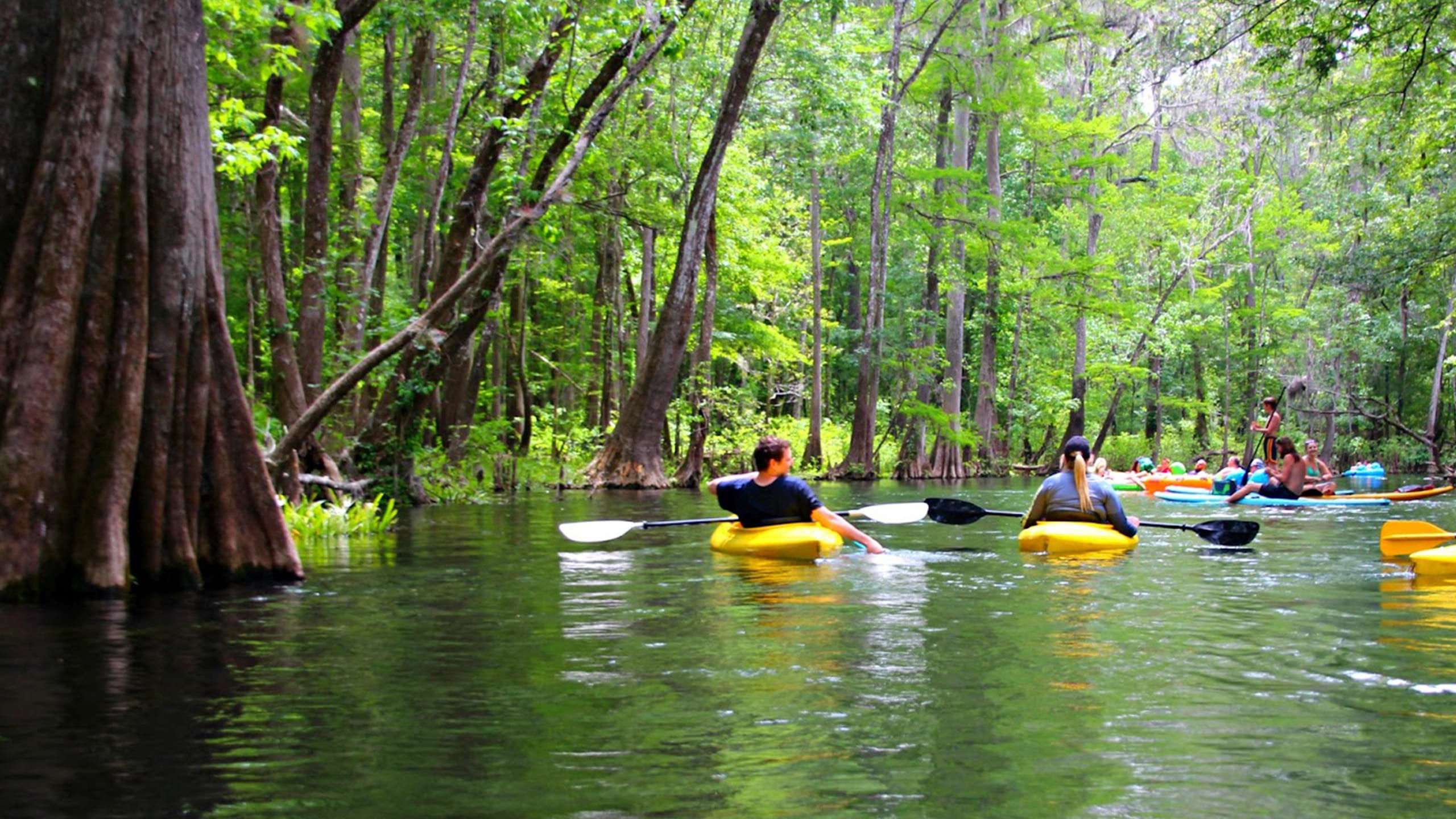 Trails and nature at Jonathan Dickinson State Park