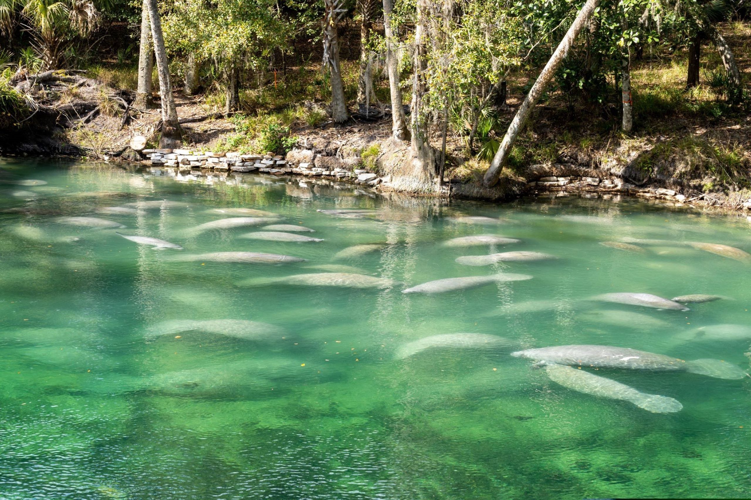Waterfront destinations near Cresswind DeLand
