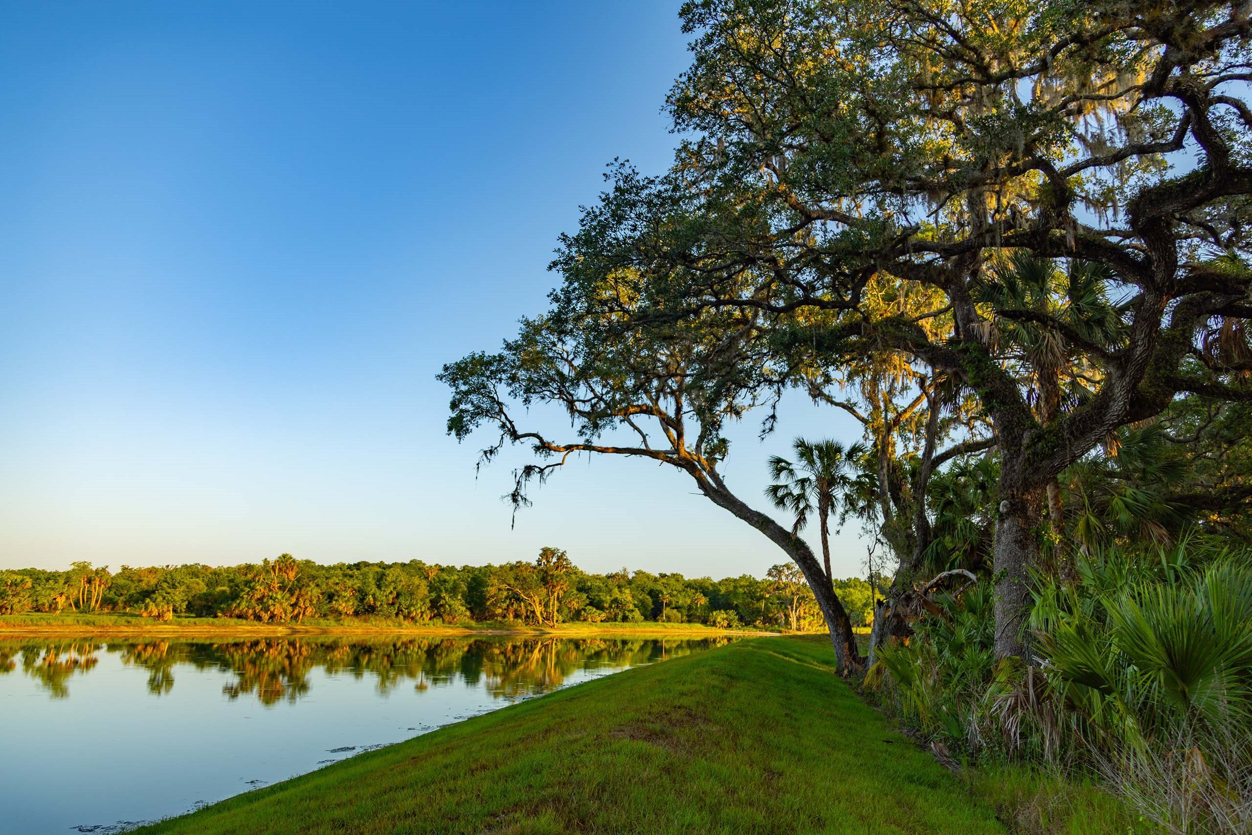Outdoor and social lifestyle near Parrish Florida
