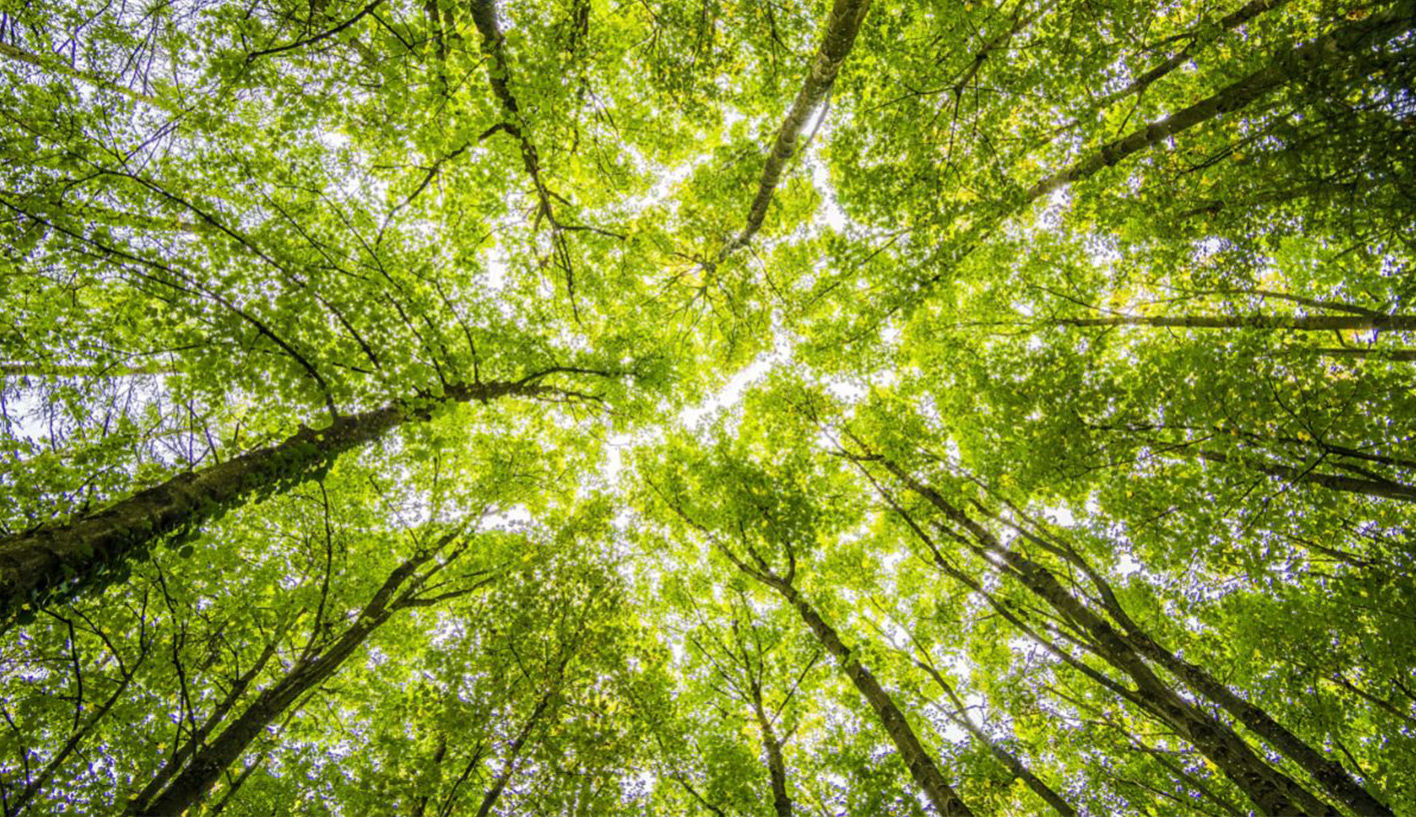 Energy-Saving Features