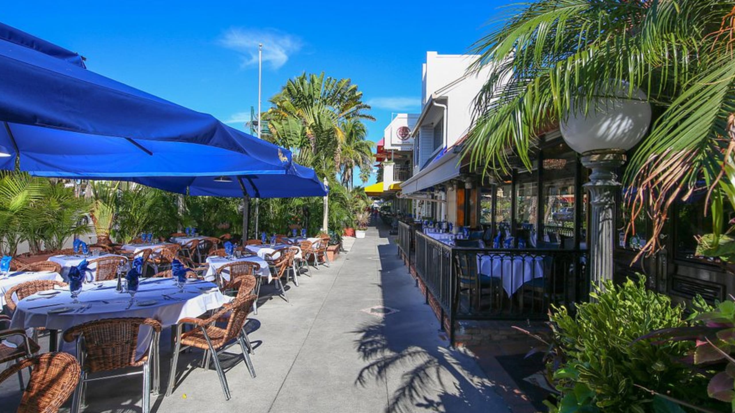 Shops and palm-lined streets at St. Armands Circle near Sarasota