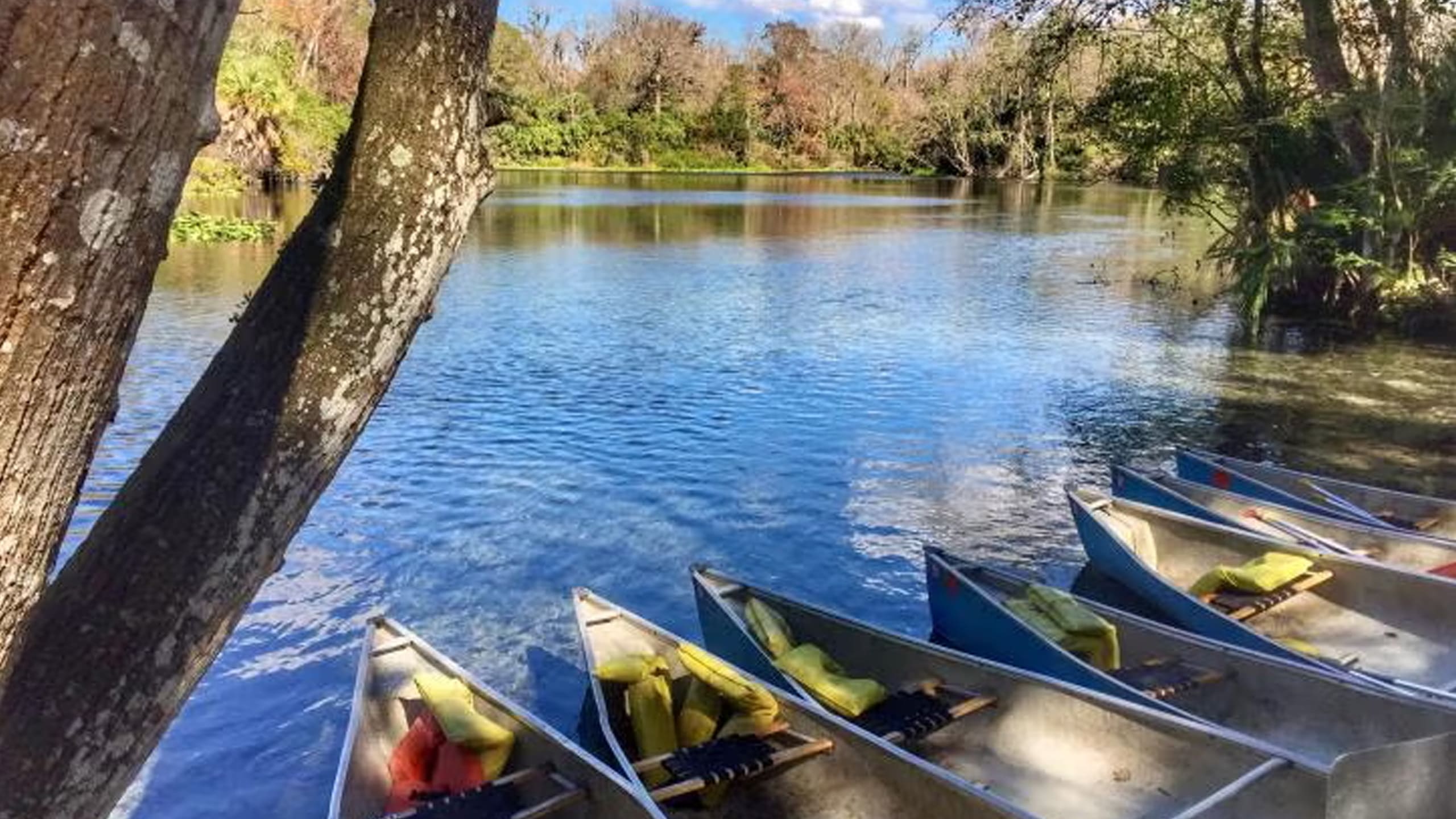 Kayaking at Wekiva Springs State Park near Orlando