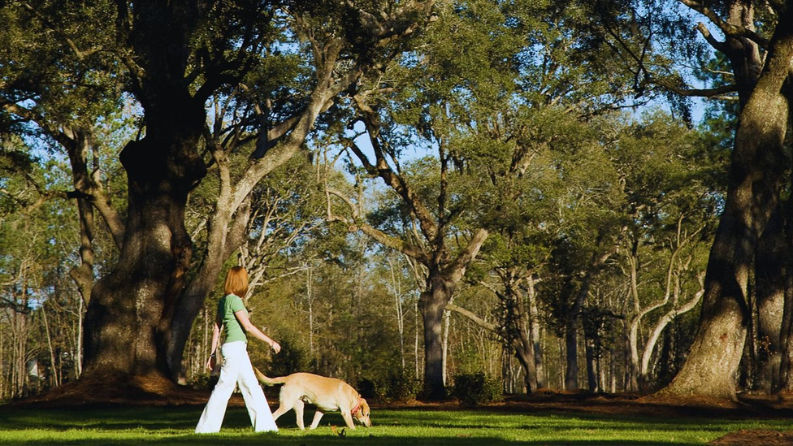 The Ponds community in Summerville, South Carolina