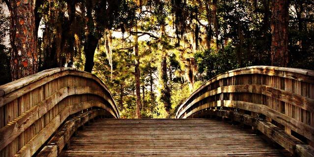 Outdoor Activities in Lakewood Ranch, Florida