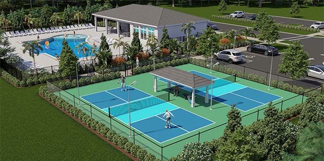 Pickleball Rendering