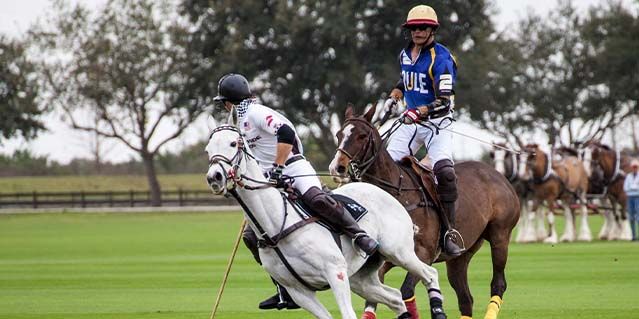 Sarasota Polo Club