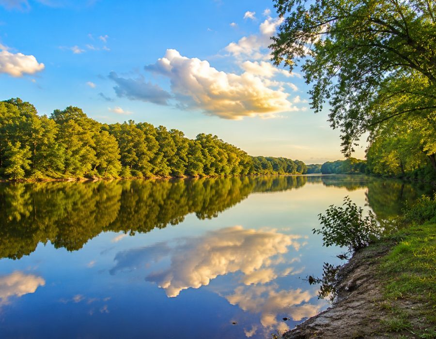 Natural surroundings and scenic landscapes near Cresswind Fort Mill