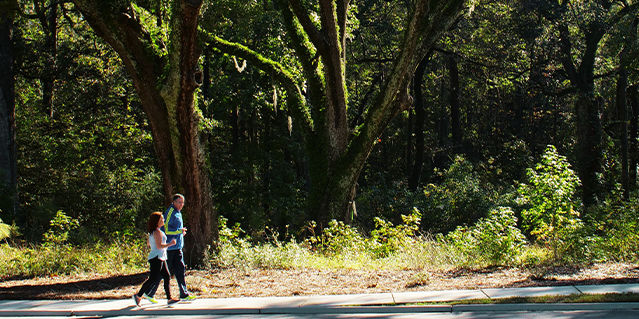 Couple Walking in Nature Trail