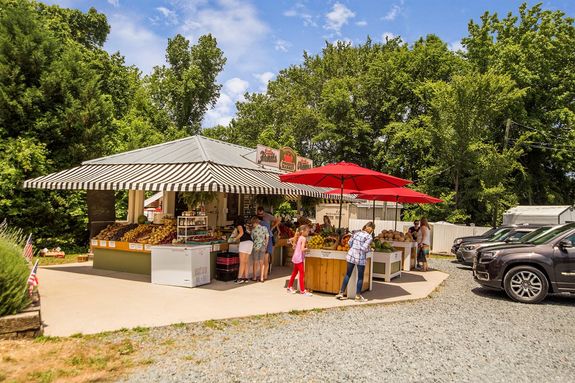 Downtown Mint Hill Farmer's Market