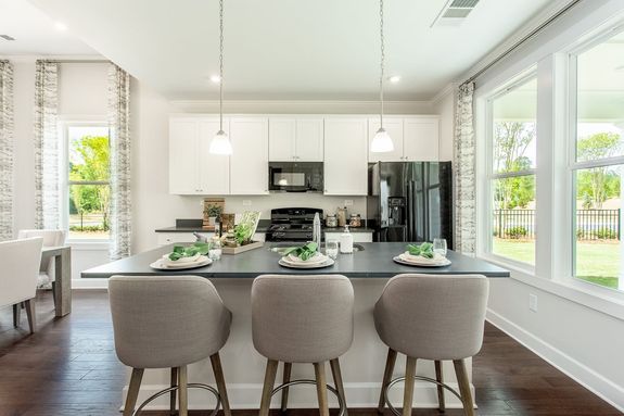 2 bedroom homes in hoschton ga, active adult community in hoschton ga, cresswind georgia, kolter homes