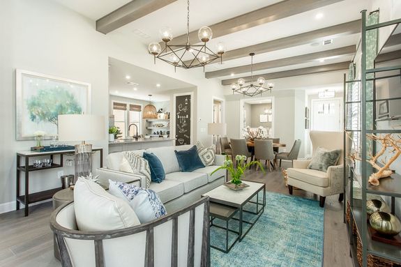 2 bedroom home, new homes in Hoscton Georgia, active adult, cresswind, kolter homes