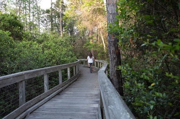 Alys Beach Nature Trail, naturewalk-at-watersound-origins-homes-for-sale
