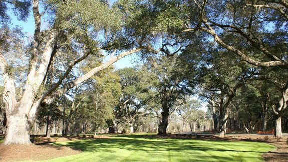 Love Oaks The Ponds Summerville