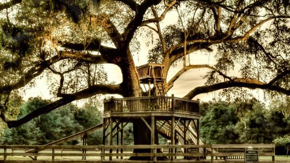 Treehouse The Ponds Summerville